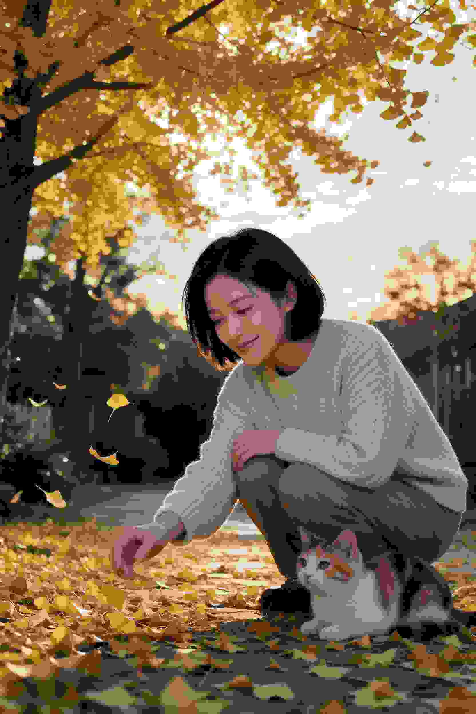 朝代更替